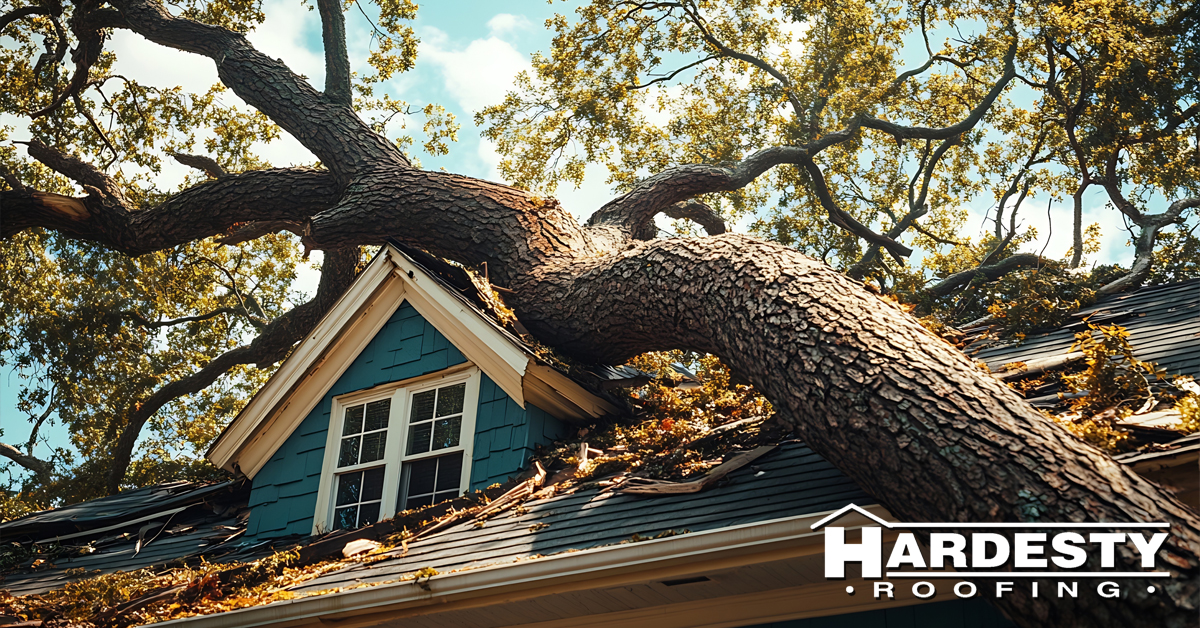 A large fallen oak limb resting across the roof and dormer of a blue house